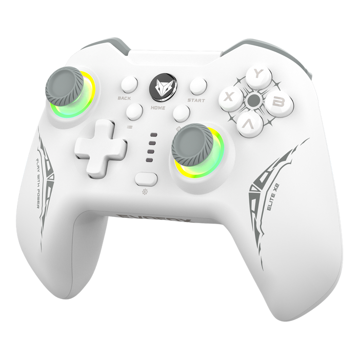 EvoFox Elite X2 Dual-Mode PC Gamepad