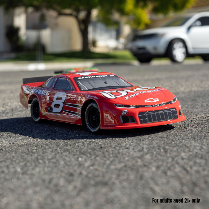 Losi 1/12 Asphalt Late Model Budweiser No. 8 – outdoor action shot on street